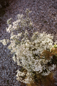Amanda-Drost-Photography-873