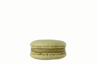 makronka_pistáciové_praliné_praliné_pistache