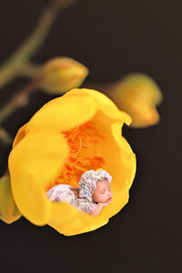newborn baby girl sleeping inside a yellow flower