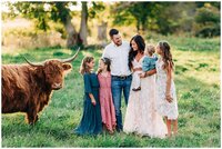 Dreamy sunset family photo on central ohio highland cattle farm.