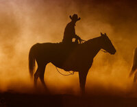 Equine Photography man on horse at sunset