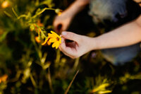 Family session with flowers | Burleson, Texas Family Photographer