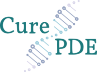 Cure PDE foundation Logo