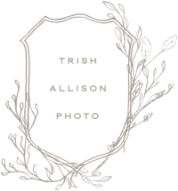 Trish Allison Photography - Web Design for Photographers by With Grace and Gold - Luxury Website, Classic Website, Polished Website - 5