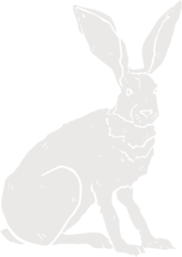 Illustration of white rabbit sitting