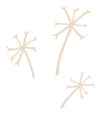 Vector art of a dandelion created by APluss Creative for Jennifer Mosier Photography. 