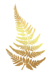 gold metallic fern