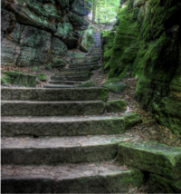 Illustration of green pathway steps representing the stages of the glaucoma patient journey and steps to manage glaucoma effectively.