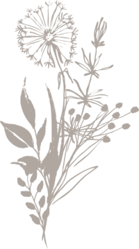 Floral bouquet illustration