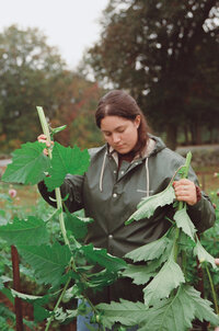 A candid 35mm film photograph from a florist branding session, capturing a florist in a green rain jacket thoughtfully harvesting vibrant greenery in a peaceful outdoor garden. The soft light and natural surroundings highlight her care and connection to her craft, creating an authentic and grounded moment that reflects the heart of her work.