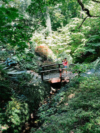 A woman stands on a bridge surrounded by trees in a forest, enjoying a hike with kids in Ohio.