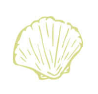 Green, Handdrawn Shell Icon