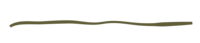 Alyn Wellness wavy line web element