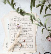 Violin lessons and musicians wellness resources - Erika Burns