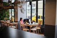 architecture-chairs-dining-390658