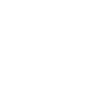 Bronze Emblem