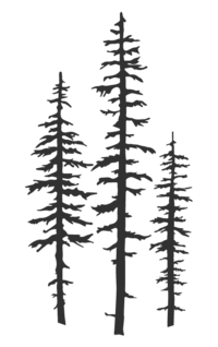 tree illustration