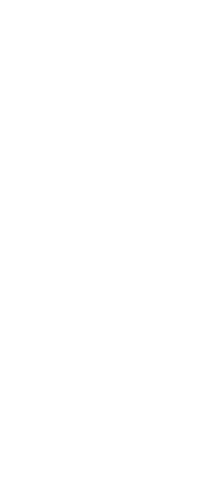 squiggly white line