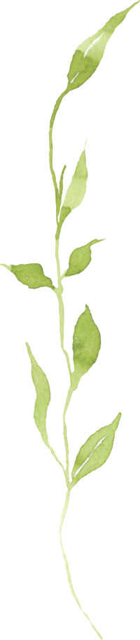 Green Watercolor leaf and vine design