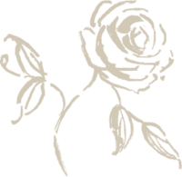 Rose illustration white
