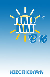 Power Dawn Logo Alternate 3
