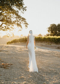 Starr Lake Vineyards Wedding in Sonoma, California
