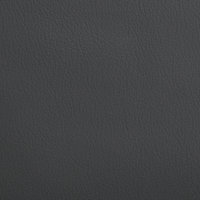 Leather-Standard-Ash