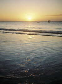 nairobi-wedding-photographer-portrait-nature-luxury-mariage-diani-kenya-paris