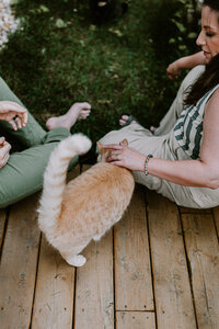 Couples & Cat engagement session