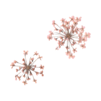 Pink flowers web element