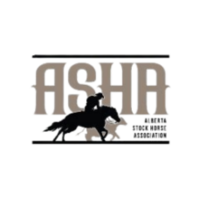 North Star logo