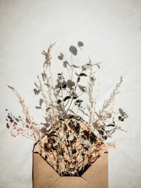 dried flowers spilling out of an evelope
