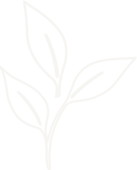 personal transformation coach