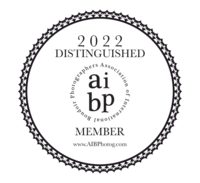 AIBP-2022-Distinguished-Member-copy