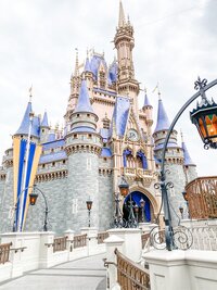 Walt Disney World castle