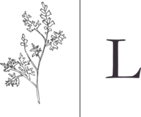 LeslieVegaDesign_BrandDesigner_SubLogo