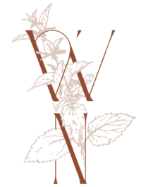 wild nettle films logo