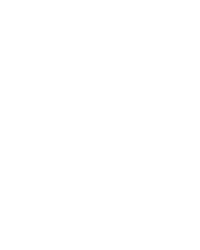 our portfolio