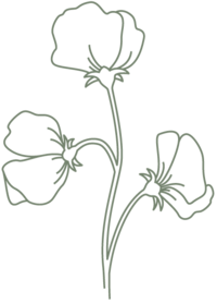 hand drawn flowers