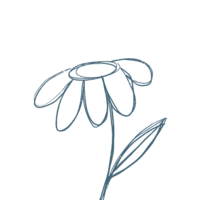 Hand-drawn illustration of flower