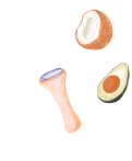 custom illustrations for Nuri brand - a face roller, coconut and avocado
