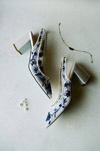 film photo of open, block heel pumps with embroidered blue flowers.