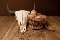 Newborn baby boy resting in a round basket with a rope and cow skull nearby, styled in a western rustic theme.
Photograph by Yucaipa newborn photographer Kaitlyn Dawn Photography.