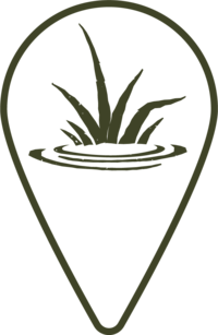 Wetlands illustrated icon.