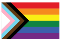 LGBTQ+ flag illustration