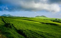 sean-robertson-YF9FxZpoTcs-unsplash