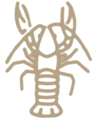 lobster upright