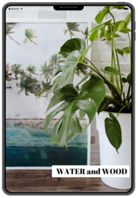 water wood couple feng shui element book by rodika tchi - your personal energy - feng shui home and life makeover with rodika tchi feng shui master consultant vancouver bc canada