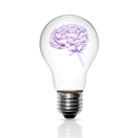 A light bulb with a thriving peony inside, symbolising subconscious healing, growth and moments of insight through brainspotting therapy with hypnotherapy.