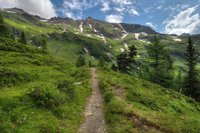 mountain_trail_by_burtn-d7txfvl